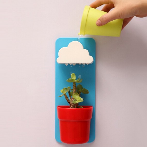 Idée cadeau - Plante nuage à faire pousser chez soi